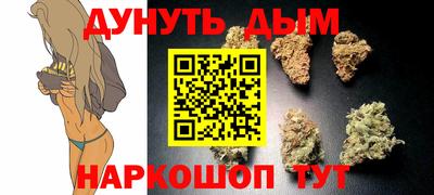 гашик Дубна