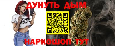 гашик Дубна